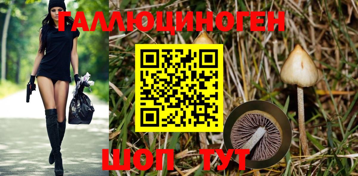 Майский  Псилоцибиновые грибы Magic Shrooms  Псилоцибиновые грибы прущие грибы  Вход с VPN 